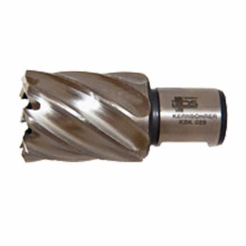 FRESA DIAM 65MMX55MM WELDON SHANK 32